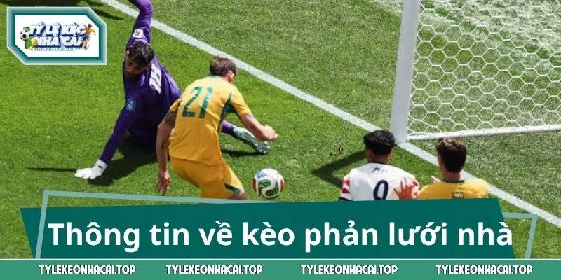 Thông tin tổng quan về kèo phản lưới nhà